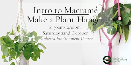 Intro to Macrame: Make a Plant Hanger