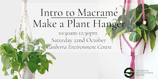 Intro to Macrame: Make a Plant Hanger