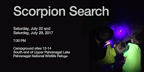 Scorpion Search - Pahranagat Campground primary image
