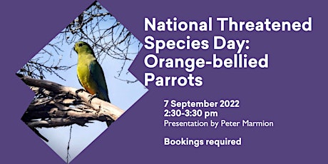 National Threatened Species Day: Orange-bellied Parrots
