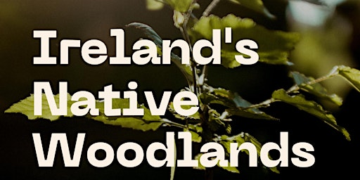Ireland's Native Woodlands
