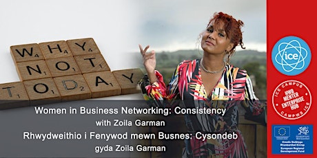 Women in Business Networking: Consistency