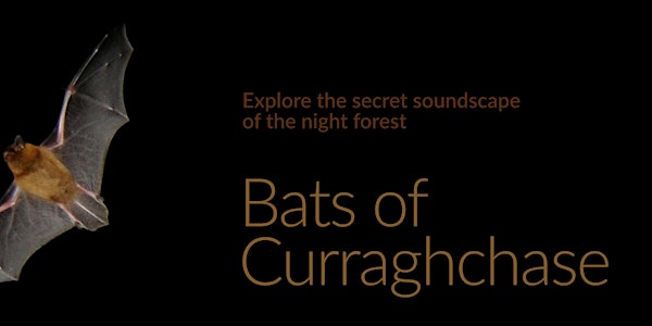 Bats of Curraghchase