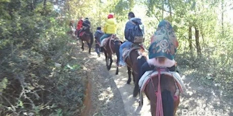 Lashi sea tea horse ancient road