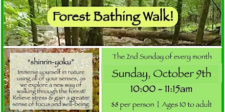 Forest Bathing Walk for Adults!