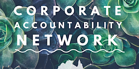 Corporate Accountability Network of Australia Bi-Annual Meeting primary image