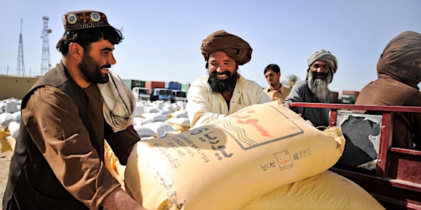 Translating Development