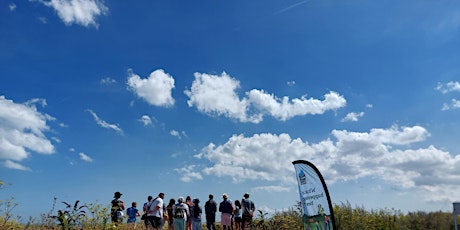 Free Guided Walk and Talk and Beach Clean at Pegwell Bay