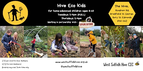 Hive Eco Kids - Thursday Group 6-10yrs