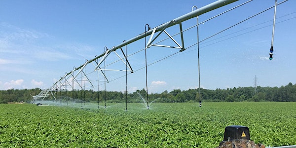 Caravane de l'irrigation Pommes de terre | Pivot