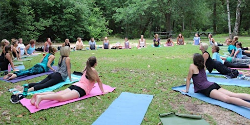 All Ages Yoga at Zilker Park