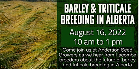 Barley & Triticale Breeding in Alberta