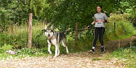 Pawsitive Fitness Jog with your Dog