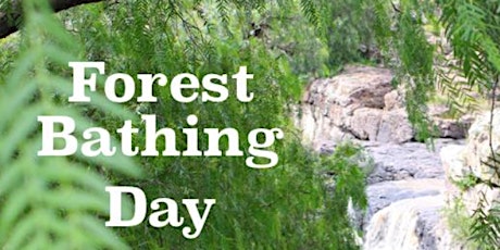 International Forest Bathing Day.  FREE Forest Bathing Session.