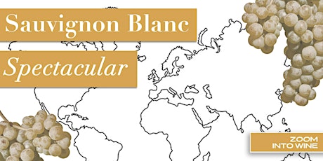 Sauvignon blanc Spectacular! | Virtual Tasting | Wine Delivered!