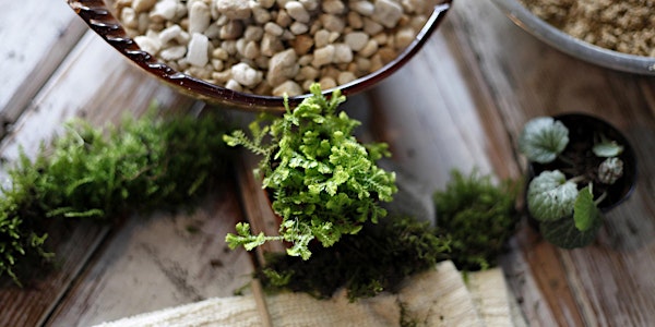 Intro to Botany Workshop