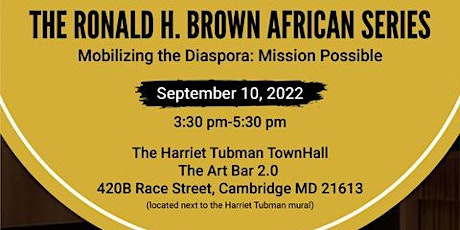 The Ronald H. Brown African Series Panel: Online Participation