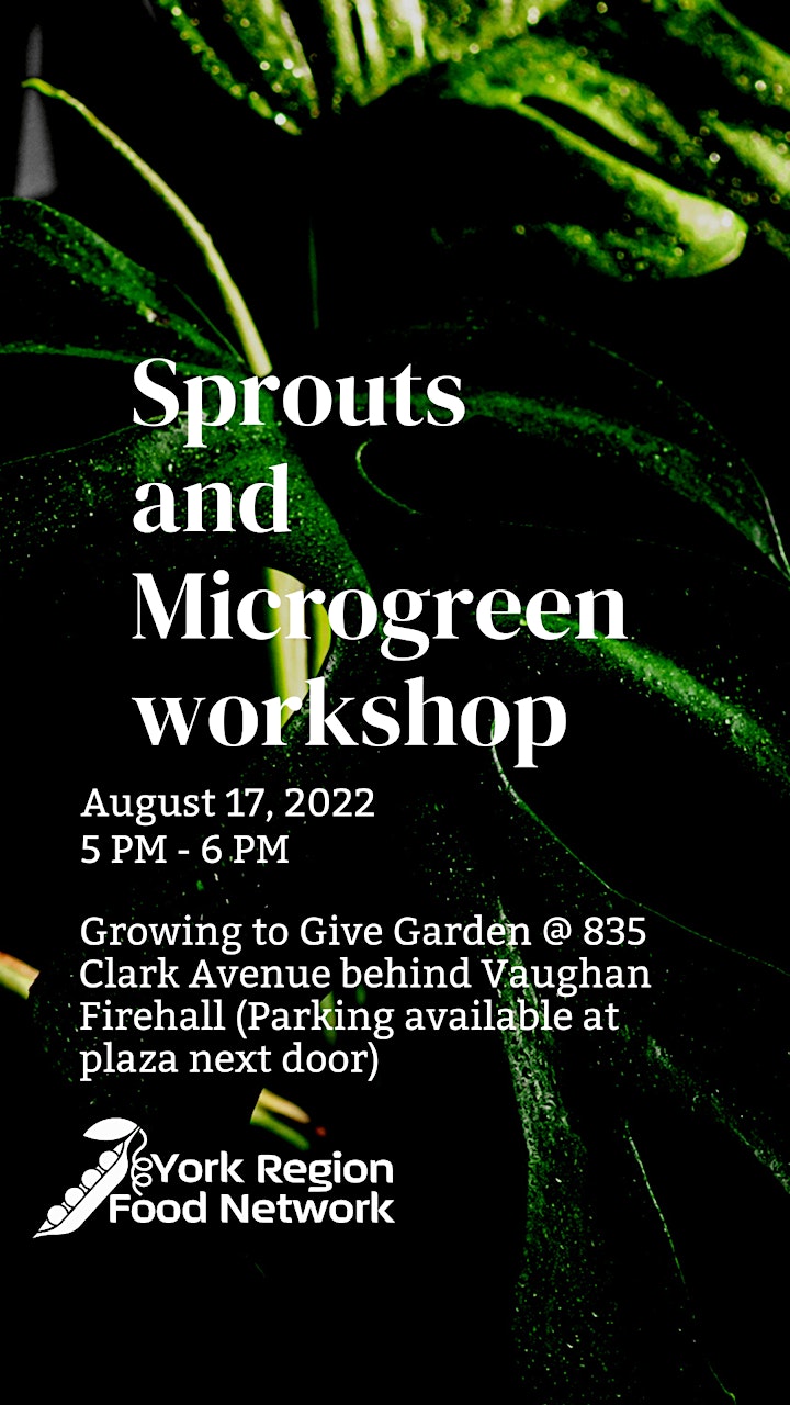Sprouts & Microgreens Workshop - Rain Date: Wed, Aug 31 @ 5-6pm image
