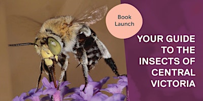 Book Launch: Your Guide to Insects of Central Victoria