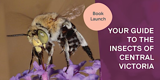 Book Launch: Your Guide to Insects of Central Victoria