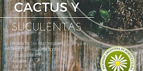 Imagen principal de Cactus y suculentas