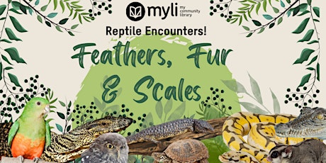 Feathers, Fur & Scales: Wildlife in the Mirboo North Library!
