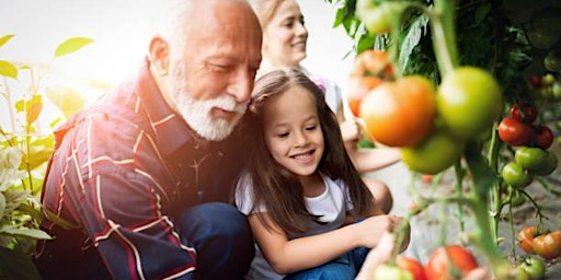Growing vegetables in small spaces - Free MP Shire Seniors Festival Event