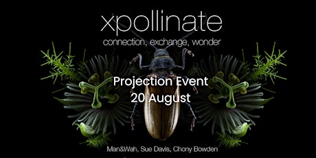 xpollinate projection event