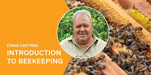 Craig Castree: Introduction to beekeeping