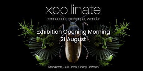xpollinate exhibition opening morning