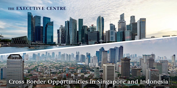 Webinar: Cross Border Business Opportunities in Singapore and Indonesia