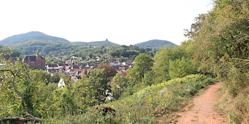 Single-Wanderung Annweiler - Trifels (25 - 45)