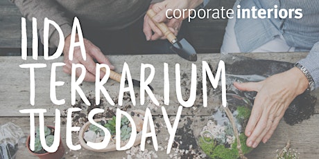 Terrarium Tuesday - MEMBER EXCLUSIVE EVENT!  primärbild
