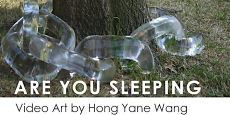 Are you sleeping - video art by Hong Yane Wang
