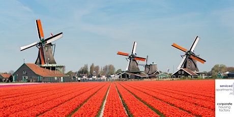 Moving to The Netherlands Webinar