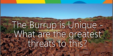 The Burrup is Unique- Vicki Long Associate Botanist explains primary image
