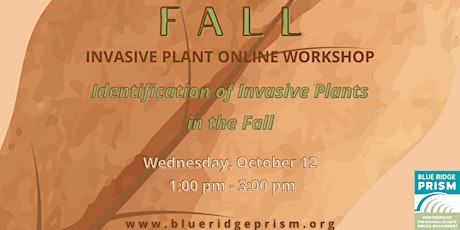 Fall Invasive Plant Workshop: Identification (Zoom)