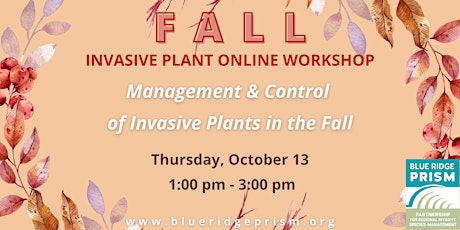 Fall Invasive Plant Workshop: Management & Control (Zoom)