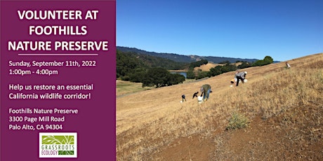 Volunteer Outdoors in Palo Alto at Foothills Nature Preserve