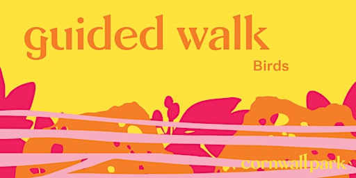 Guided Walk: Bird