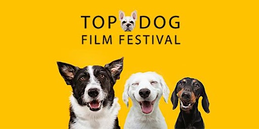 TOP DOG FILM FESTIVAL