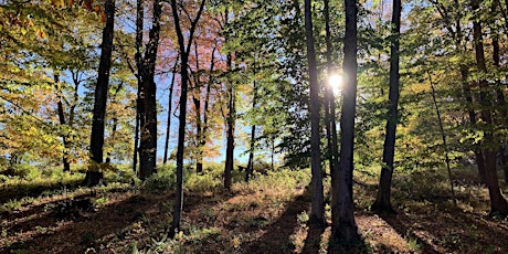Forest Therapy: Equinox Celebration
