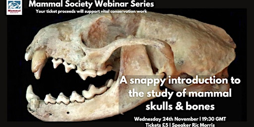 TMS Webinar - Snappy intro to study of mammal skulls and bones! - Recording