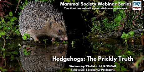 TMS Webinar - Hedgehogs: The Prickly Truth - Recording