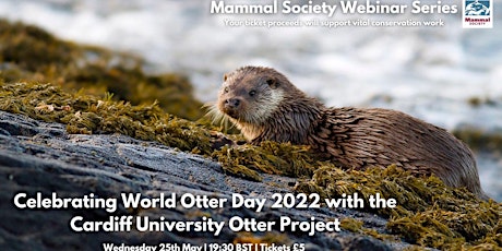 TMS Webinar - World Otter Day 2022 with CU Otter Project - Recording