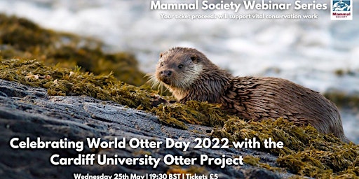 Image principale de TMS Webinar - World Otter Day 2022 with CU Otter Project - Recording