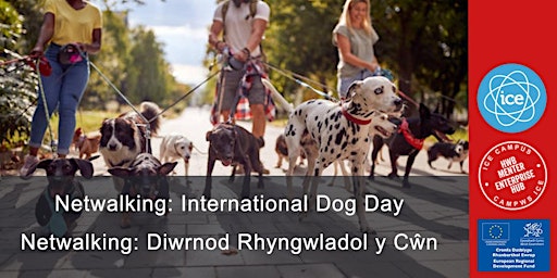 Netwalking: International Dog Day