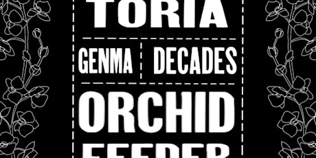 TORIA- GEMMA- DECADES- ORCHIRD FEEDER