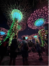 Light-up at Gardens by the Bay at night