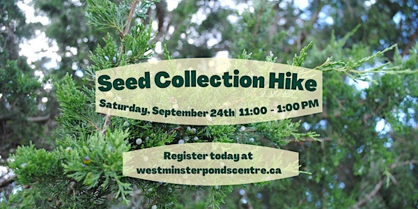 Seed Collection Hike at Sitler and Wardsville Woods